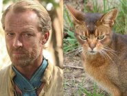 Персонажей «Игры престолов» сравнили с котами Персонажей «Игры престолов» сравнили с котами