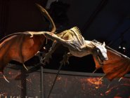 Выставка декораций сериала "Игры престолов"