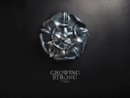 Гербы Великих Домов Вестероса Гербы Великих Домов Вестероса