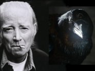 Объявлено имя актера на роль Трехглазого ворона