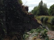 Новые фотографии со съемок 5-го сезона сериала «Игра престолов»